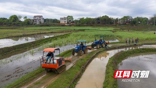 让 农机 成为田间地头的 新主角