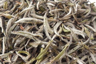白牡丹茶属于什么茶类,福鼎白茶属于生茶还是熟茶？