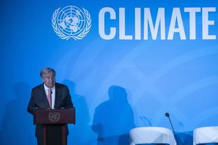今年夏天创下最高温纪录，联合国秘书长发出气候崩溃警示