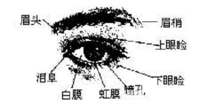 面相算命 眼睛