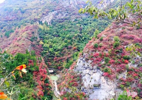 投票啦 您支持 成县十二景 还是 成县八景