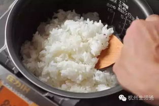 什么节气煮新米(什么节气煮新米饭最好)