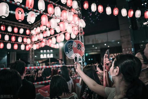 彼岸花适合什么环境生长,彼岸花的