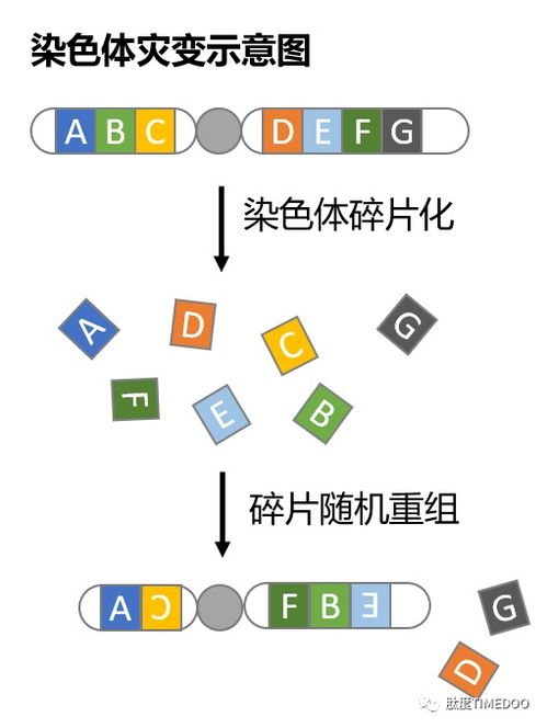 传奇,wowSF去哪里找,独家解析WowSF：探秘未知的数字江湖，揭开神秘面纱！