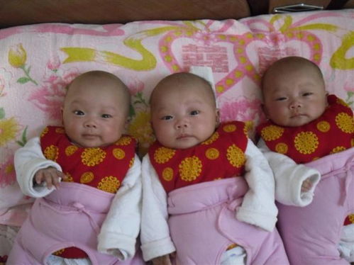 产妇头胎生女儿, 二胎怀3胞胎,孩子出生确认性别,爸爸笑了