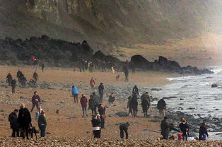 英国一悬崖崩塌 吸引了不少化石收藏爱好者