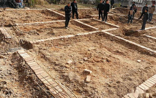 有钱就能随意盖 国家回应乱占乱建行为 怎么盖得,怎么拆回去