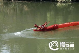 重庆江津老农造出两条龙 会潜水会喷水还可以骑 