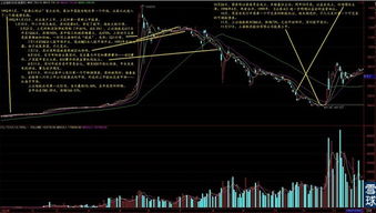 1990年到1992年股市中涨幅较大的股票有哪些