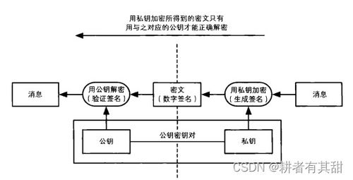 比特币公钥签名,为什么比特币交易过程要将前一笔交易和收款人的公钥进行哈希变化并数字签名，其中前一笔交易是什么？