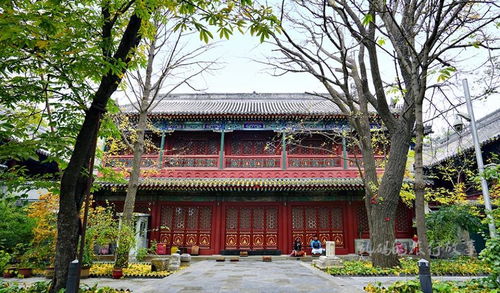 北京城最早的寺院,囚过宋钦宗迷过泰戈尔,藏多件国宝却少有人知