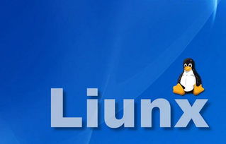 家用电脑可以安装linux系统吗,个人电脑装linux可以吗