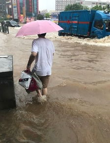 我国大部分地区现在以及未来的一段时间都是暴雨连连造成了很大的损失，以现在的局势看，哪些个股会受到影响呢？