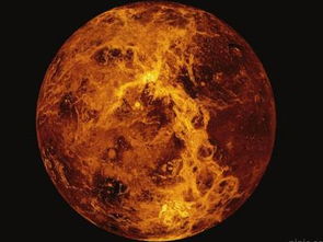 金星对你的气质影响