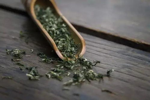 碧螺词语解释—碧螺茶是什么？