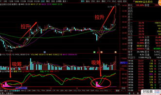 请问有没有哪个指标可以直观的看出主力在吸筹而非出货