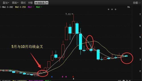 2024有望翻十倍的低价股 2024有望翻十倍的低价股 融资