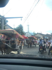 广州芳村鱼市场哪里可以免费停车(广州一日游免费停车场推荐)