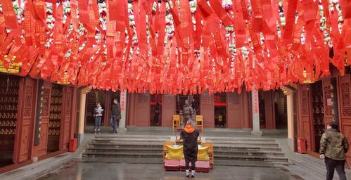 杭州求财最灵的寺院,外地游客几乎不去,本地人却络绎不绝