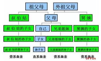 专业匹配却不能报名 竟然是因为要回避 