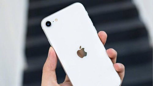 iPhone SE3不值得选吗 和13 mini对比后,没想到差距如此之大