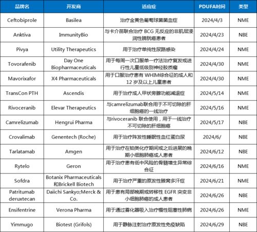 2024第二批主题个人检视剖析 2024第二批主题个人检视剖析 应用