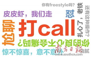 2017十大网络用语揭晓 打call 油腻 等流行语上榜