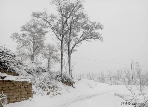 8首咏雪诗词,冬景似春华,莫负好时光