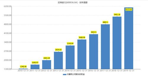 净资产哪里可以看