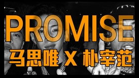  马思唯promise完整版歌词,序言:探索承诺的意义 钱包应用