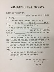 三人合伙开修理厂，注册公司时企业名称预先核准通知书上股东发起人只写了一个人的名字，变成一人有限公司