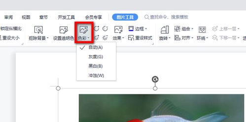 如何在WPS文档中更改图片颜色