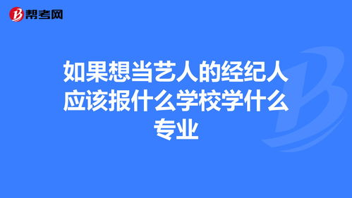 当经纪人学什么专业