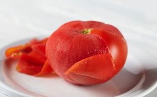 番茄切花方法(番茄切花方法图解)