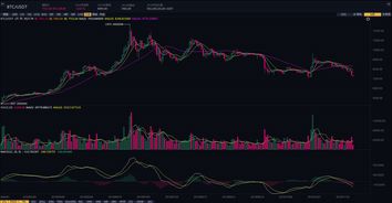 bch币前景,LBTC（闪电比特币）有投资价值吗