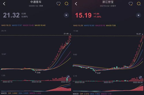 市值风云（市值风云是什么公司） 第1张