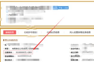 怎么在网上查找一个公司的注册代码