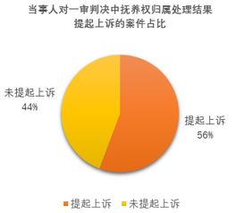 关于子女抚养权归属纠纷的分析报告 