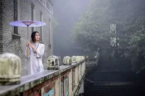 韦固妻：花痴求婚记,花痴求婚记