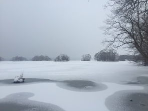 50年未遇的大雪,让我一次看个够 北海道之白与红,圣诞 元旦之旅