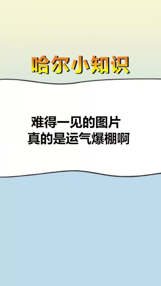 每天一点冷知识,难得一见的图片,真的是运气爆棚啊 