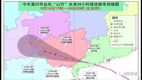 我在广东奔小康 16 大八山区致富路上的 领头雁