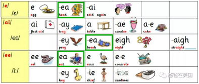 海的那边 自然拼读最难学的 215个词根 ,我用一张表帮娃轻松学透 文末福利