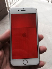 最近iphone6老是这样,不是蓝屏就是红屏 可有知道什么问题了 