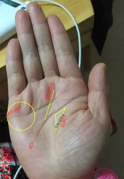 三角纹手相第二火星,手纹相上各大星丘代表了些什么 手掌八大星丘代表的含义解析？