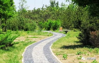 玉东郊野公园：城市中的绿肺，自然与文化的完美融合