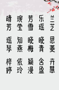 耐听不俗的女孩名字贾师傅起名改名