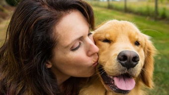 主人亲吻狗狗,狗狗能感受到爱意吗 关于狗狗如何理解主人的亲吻