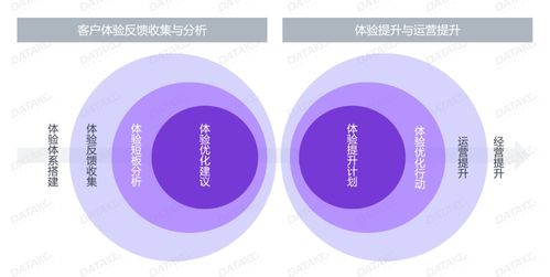 公司设立全新客户体验中心，提升服务水平