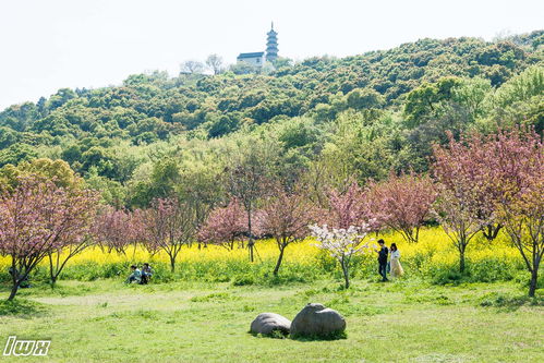 乘今天春光明媚的好天气游玩上方山公园和石湖景区 